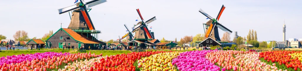 راهنمای سفر به هلند